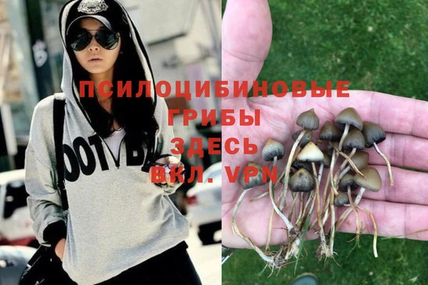 кокаин премиум Белокуриха