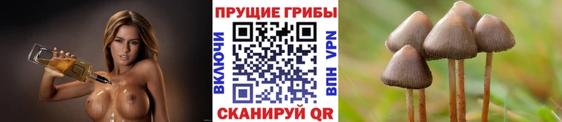 Галлюциногенные грибы MAGIC MUSHROOMS Шадринск