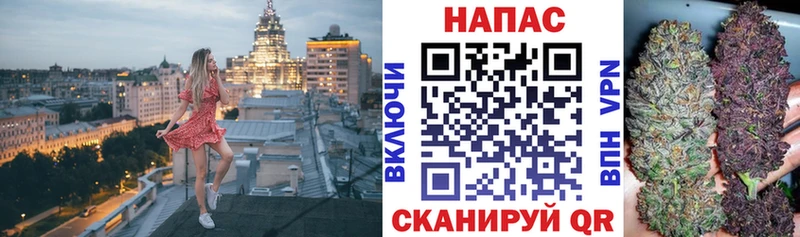 Бошки Шишки гибрид  Шадринск 